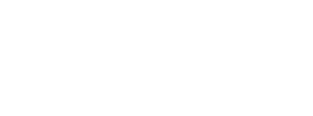 Turk Paneli